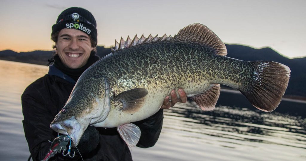 the-murray-cod-gofish-nagambie-2021